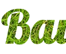 Crea una bonita inscripción PNG en línea con fondo de hierba - Fuente Lobster