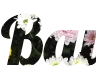 Texto en línea con fondo de flores - Bonita fuente Lobster en png