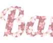 Crear una inscripción bonita con fondo de flores de cerezo - tipografía Lobster PNG