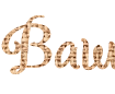 Generador de fuentes PNG bonitas